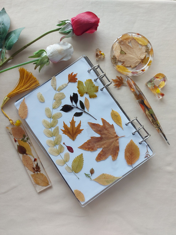 ست لاکچری هدیه رزینی