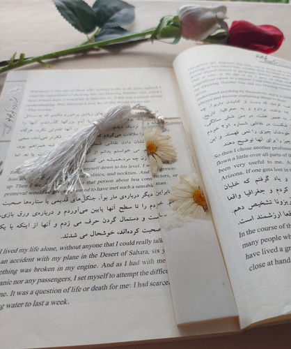 نشانگر رزینی بابونه