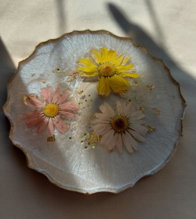 زیرلیوانی گل بابونه