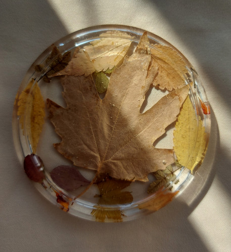 زیرلیوانی پاییزی