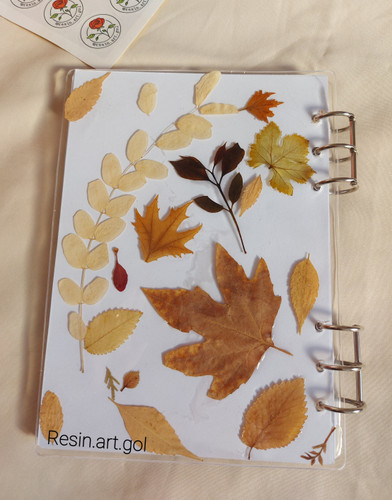 دفتر فانتزی پاییزی رزینی