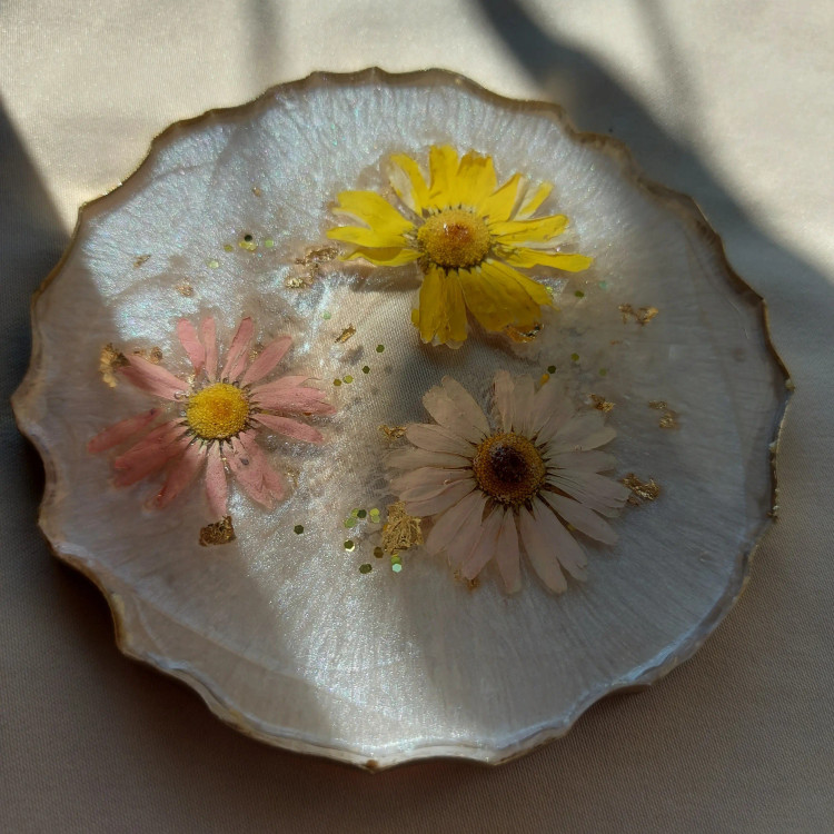 زیر لیوانی گل بابونه