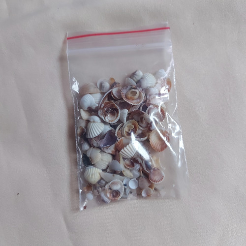 گوش ماهی ریز